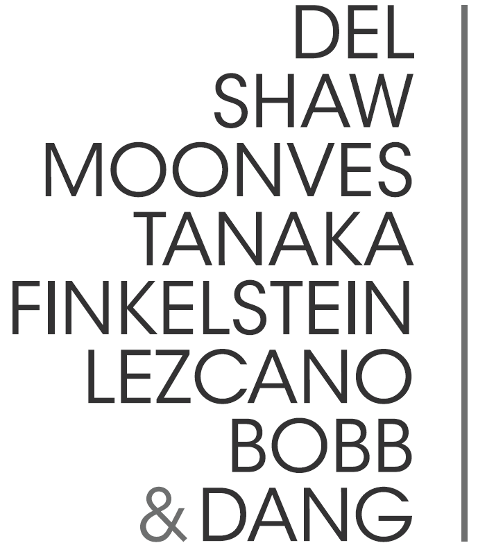 Del Shaw Moonves Tanaka Finkelstein Lezcano Bobb & Dang logo